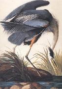 John James Audubon Great Blue Heron oil on canvas